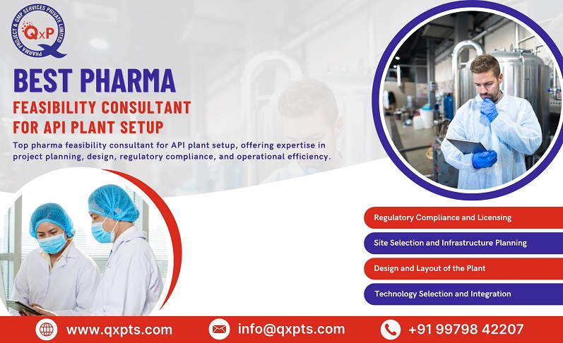 best pharma feasibility consultant for api plant setup in india