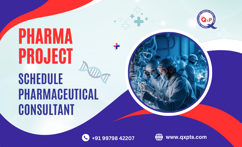 project schedule pharmaceutical consultant in india