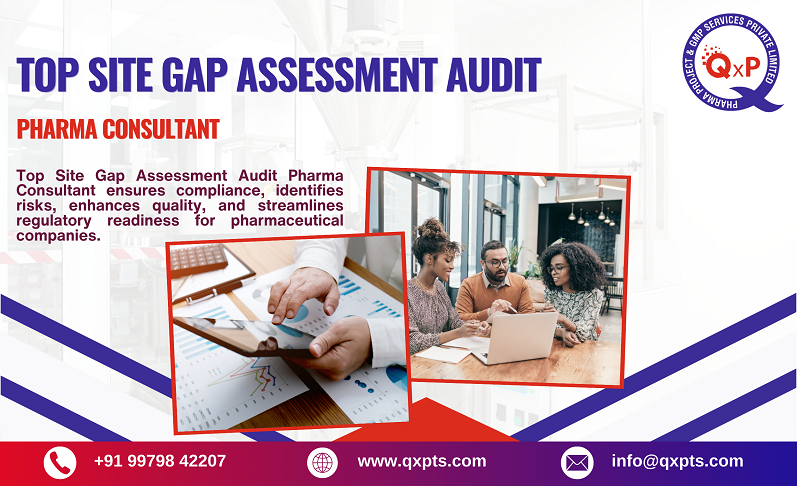 top site gap assessment audit pharma consultant in india